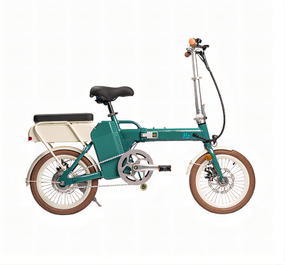 Folding bike